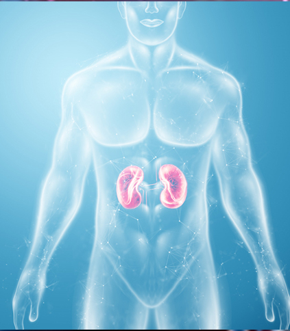 Cardiology-muslim-hospital copy